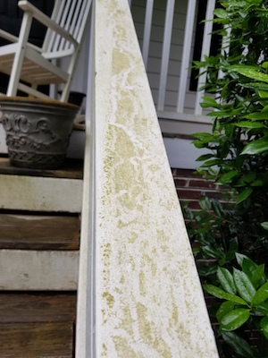 Trails appear in pollen on a hand rail.