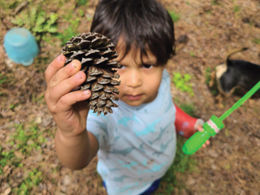 Child holding a pine cone.