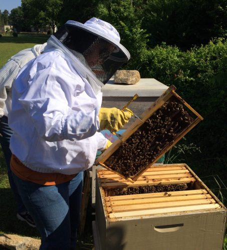 Bee Keeper