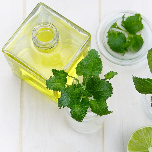 Plants that repel mosquitoes