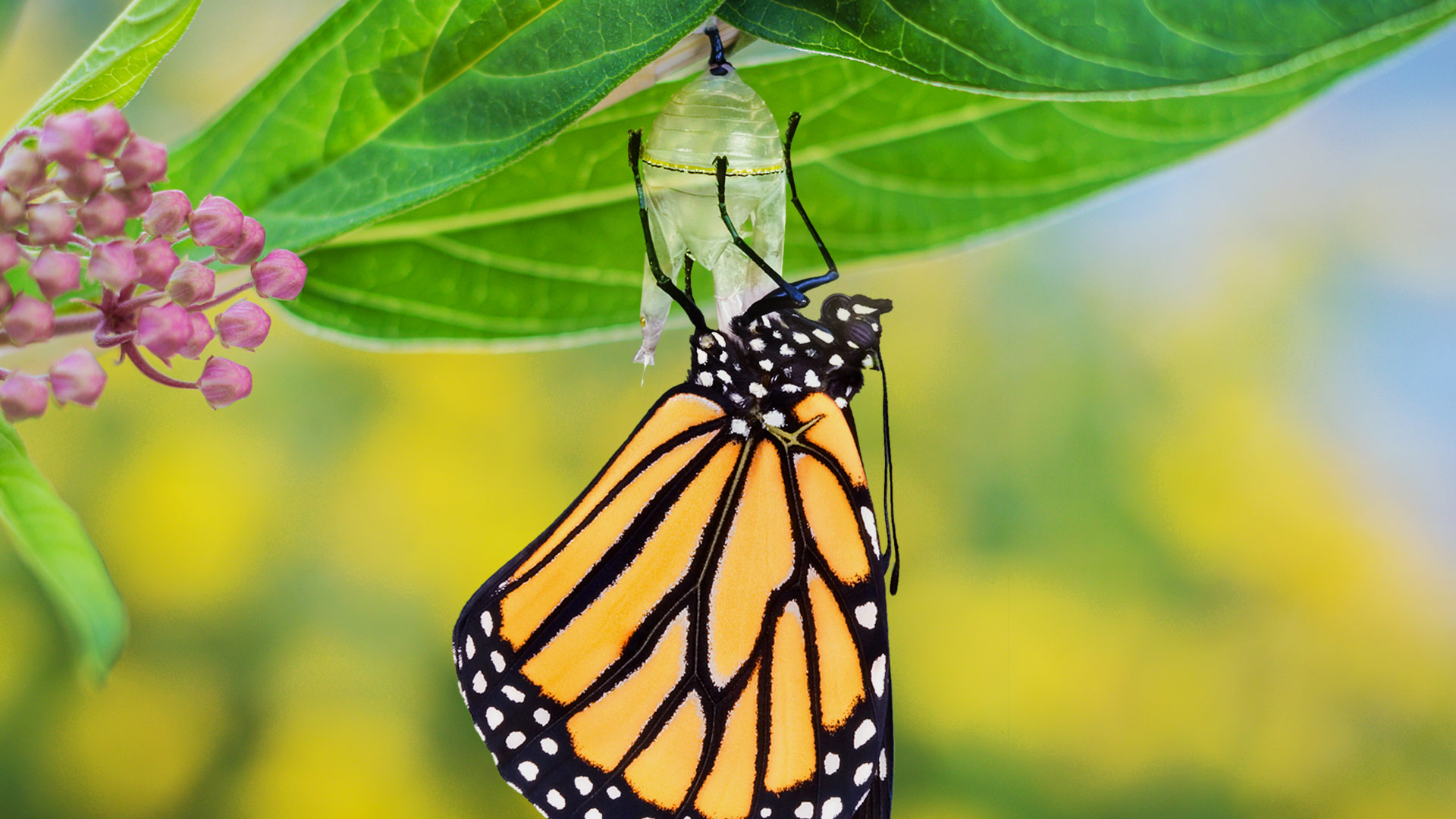 Open September 22: Reserve Your Free Ticket