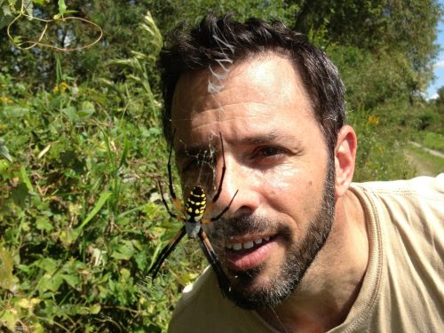 A man looking at a garden spider on a web