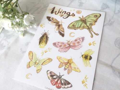 A Zine with drawings of butterflies