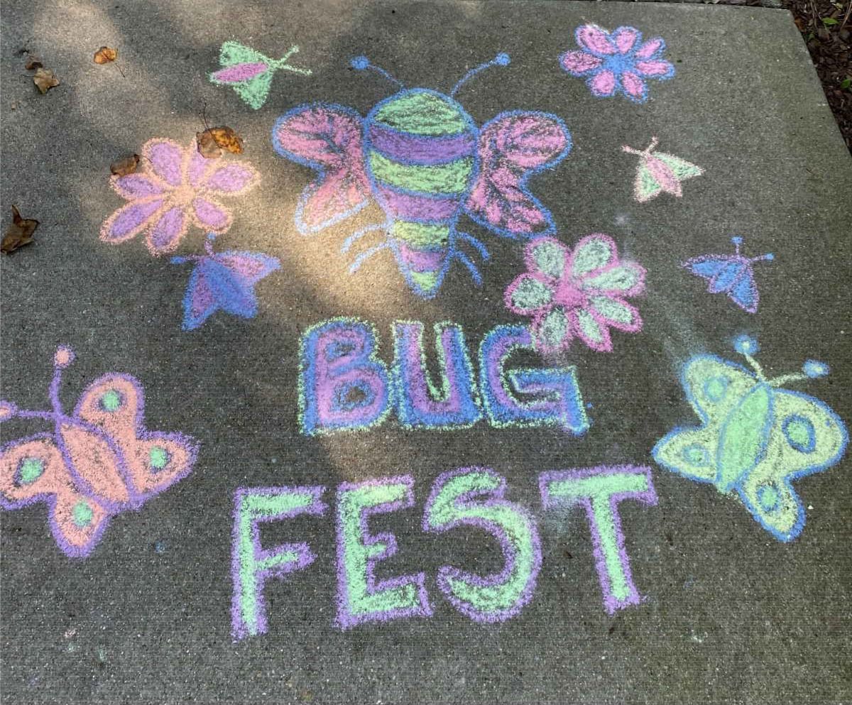 BugFest Bugs out of chalk