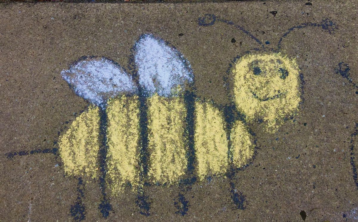 a chalk honeybee