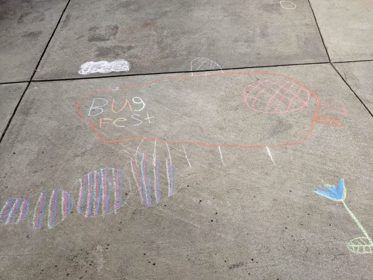 bugfest and a striped caterpillar in chalk