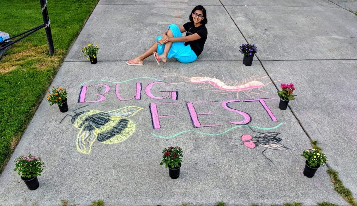 A girl sitting next to BugFest in chalk with a chalk bee and some flowers