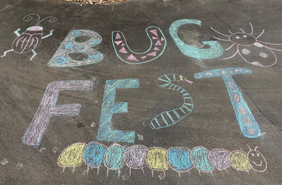Chalk bugfest with assorted bugs