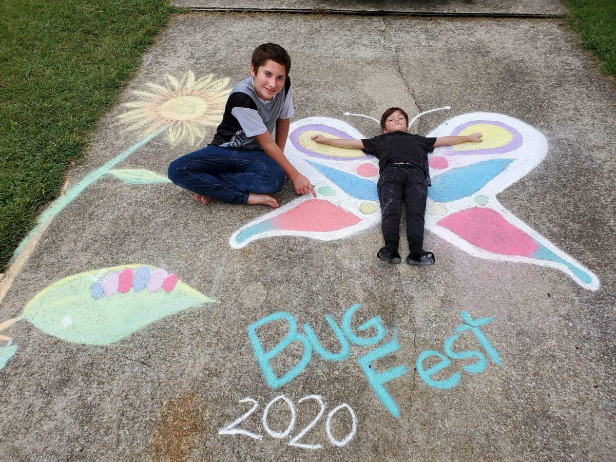 Two little boys and butterfly life cycle in chalk