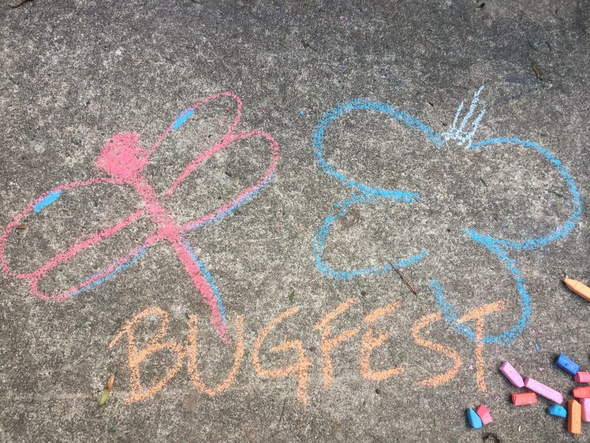 BugFest and a chalk dragonfly and butterfly