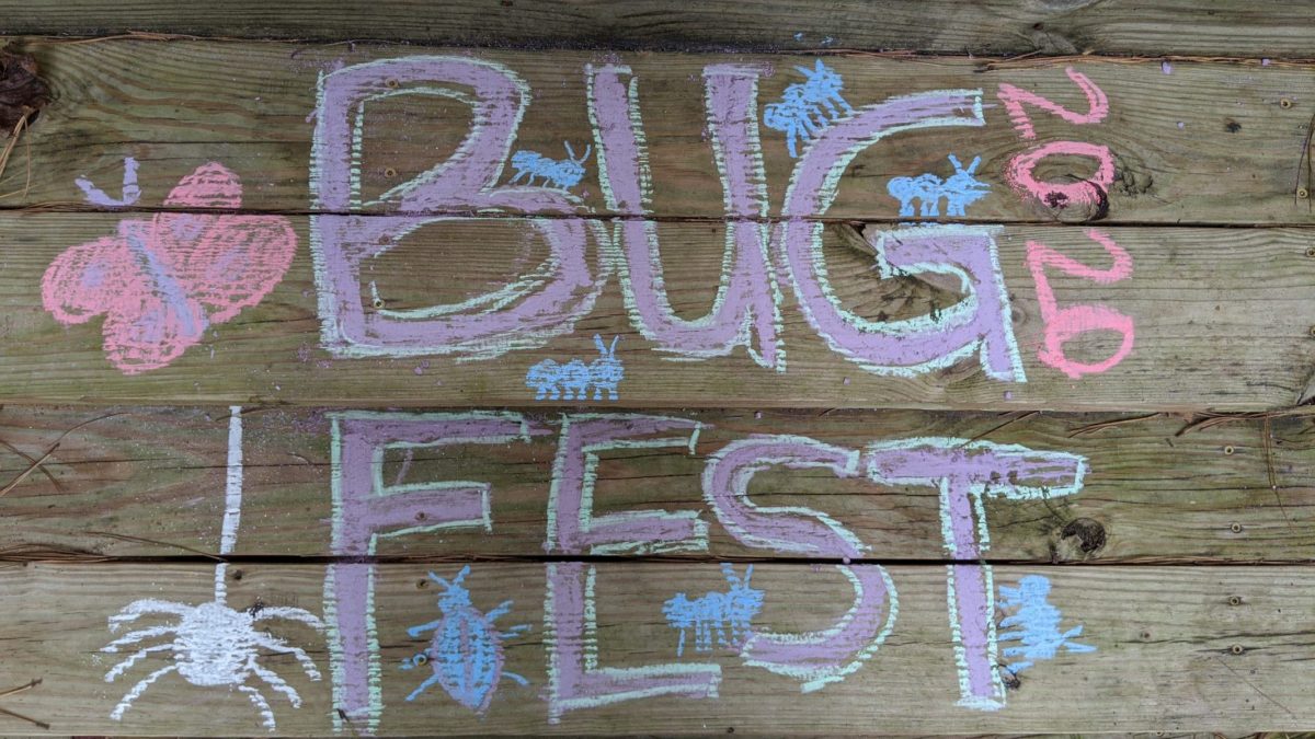 BugFest will little bugs in chalk on wood