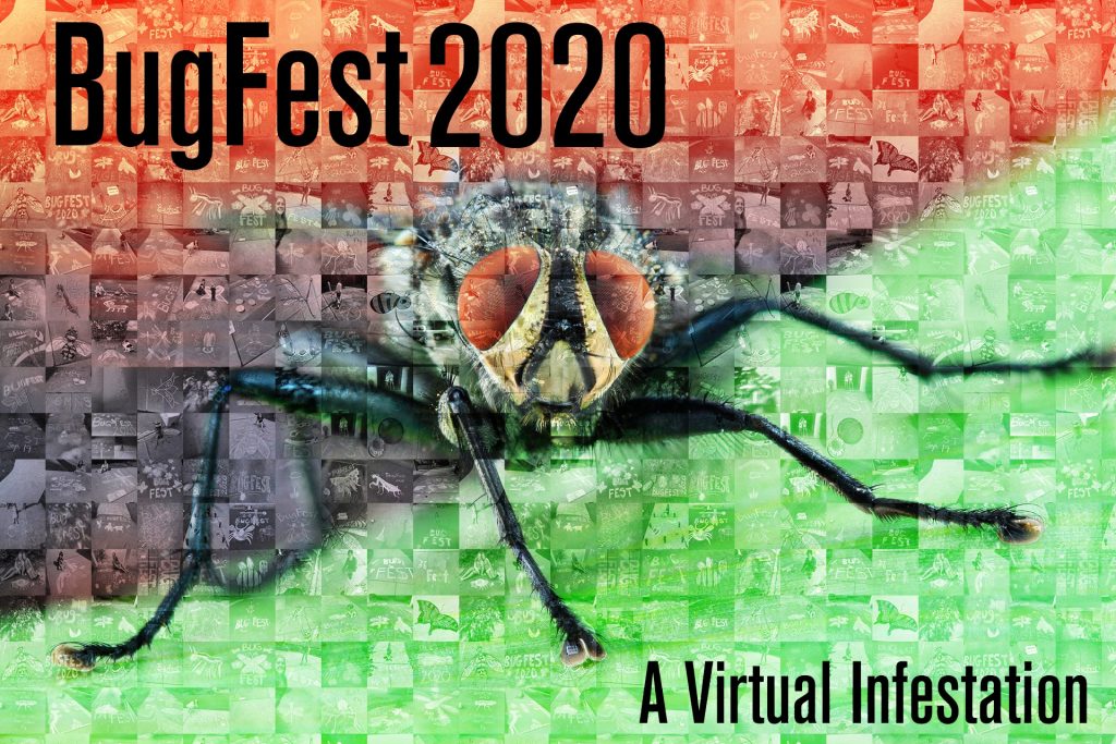 BugFest A Virtual Infestation! Programs and Events Calendar