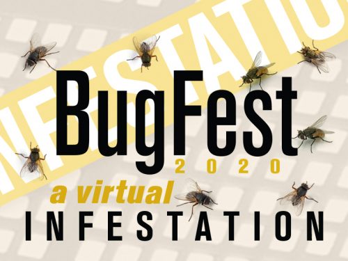 BugFest 2020 – This time it’s virtual!
