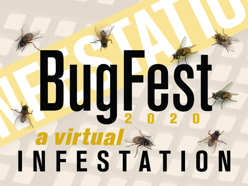 BugFest 2020 This time it’s virtual! Programs and Events Calendar