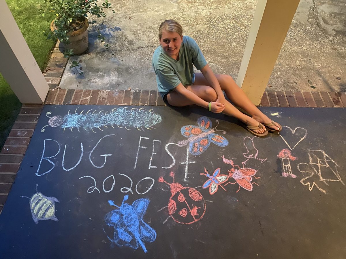 Someone sitting next to chalk bugfest and bugs