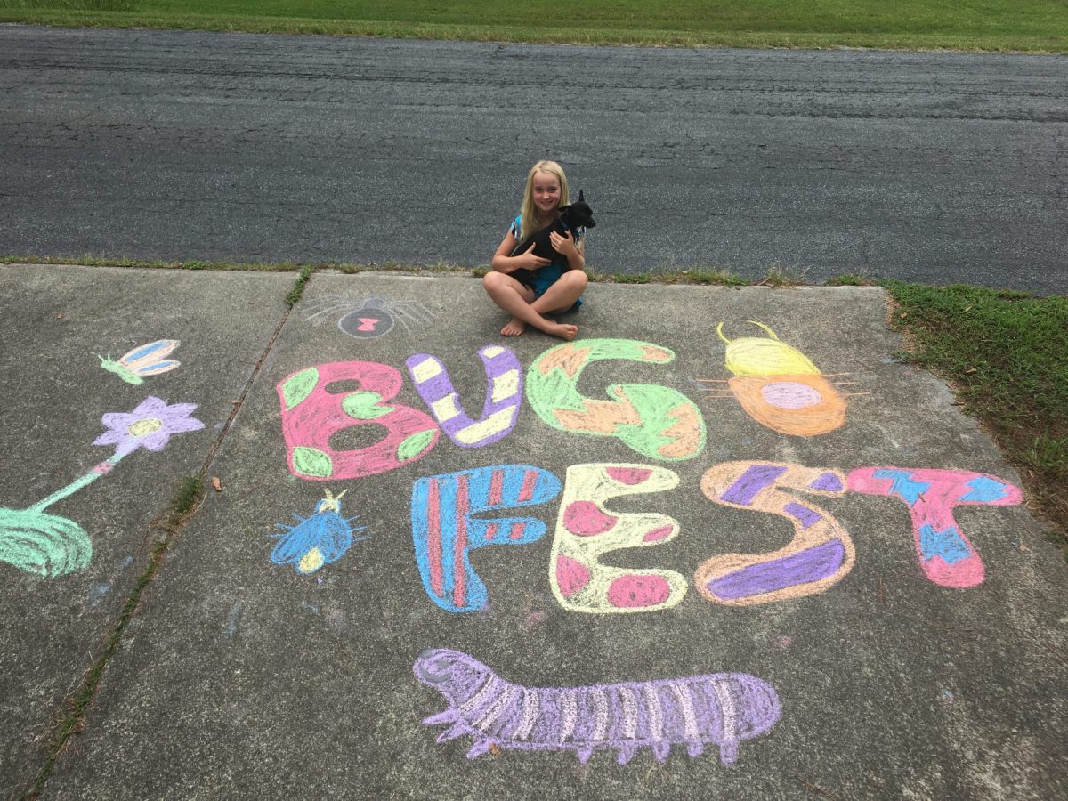 BugFest in chalk with a little girl