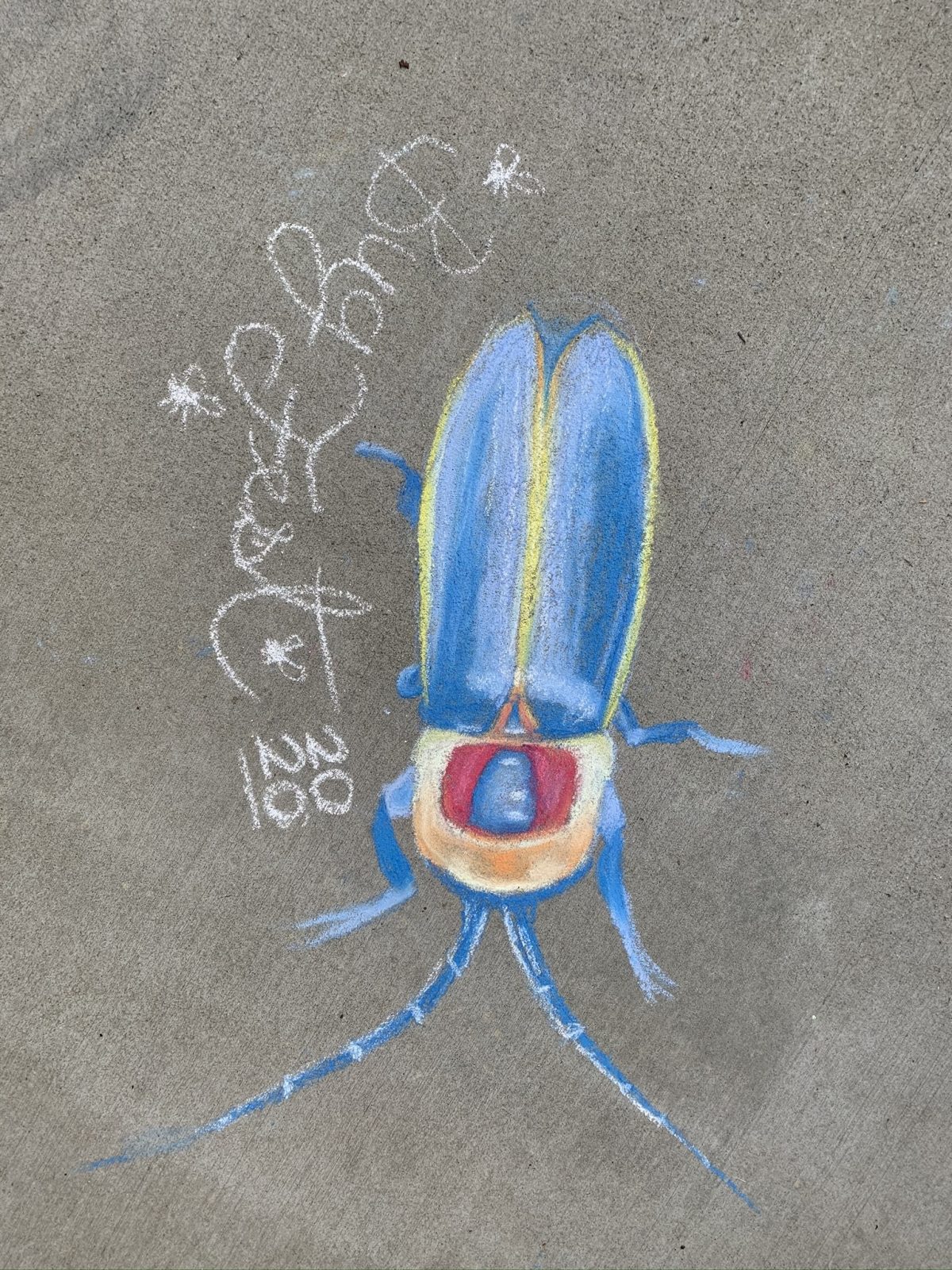 a beautiful chalk lightning bug