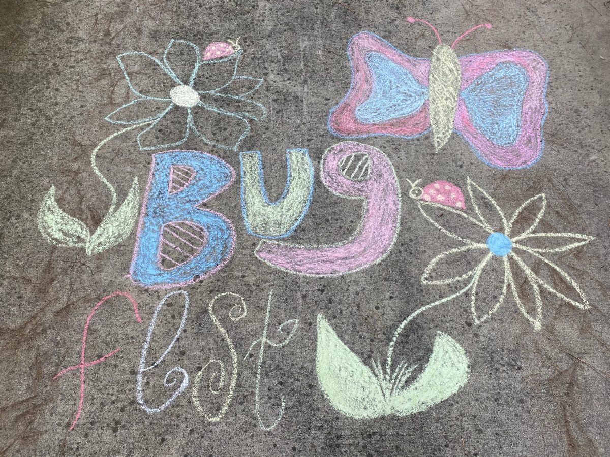 chalk bugfest with flowers and a butterfly
