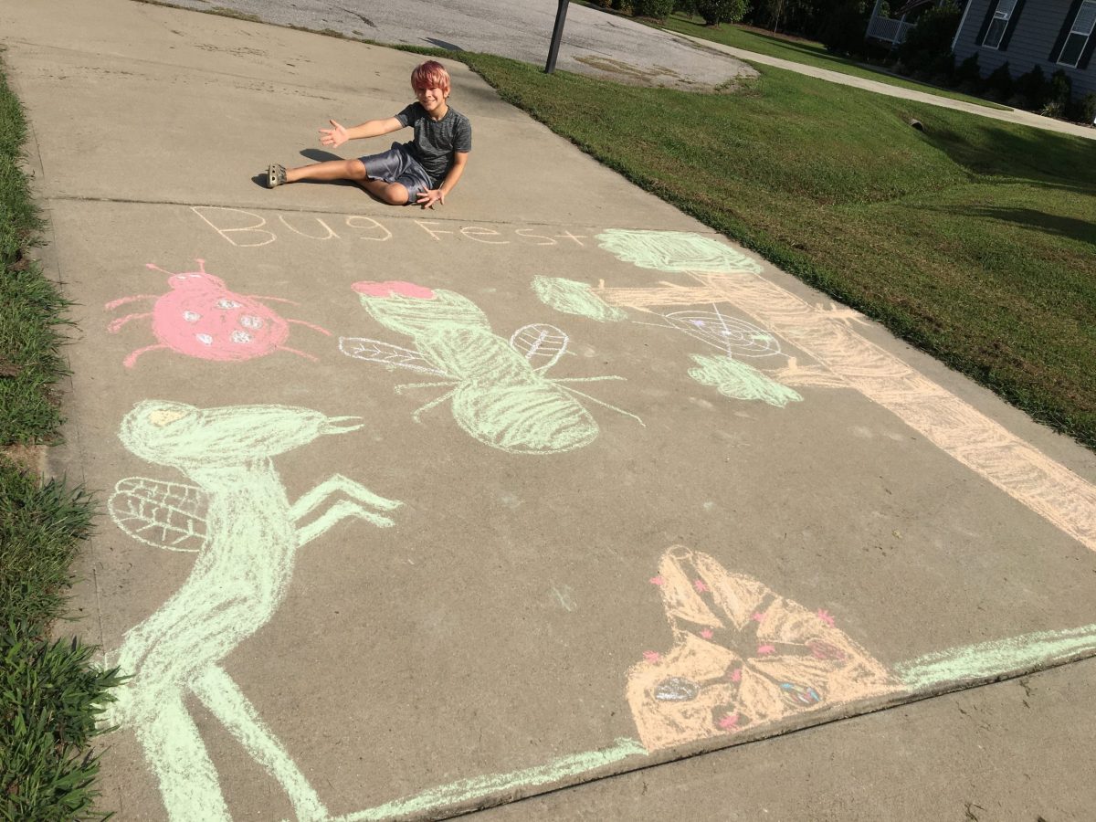 a boy with big chalk bugs
