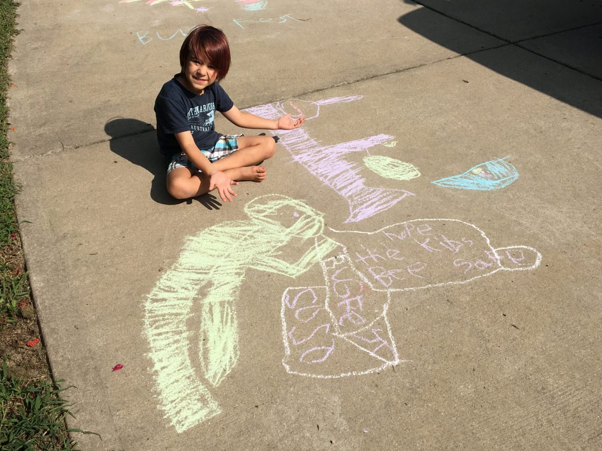 a little boy with chalk bugs