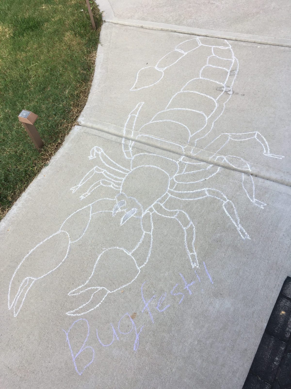 a super cool chalk scorpion