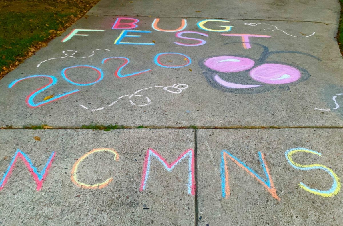 Chalk bugfest 2020 with a bug face