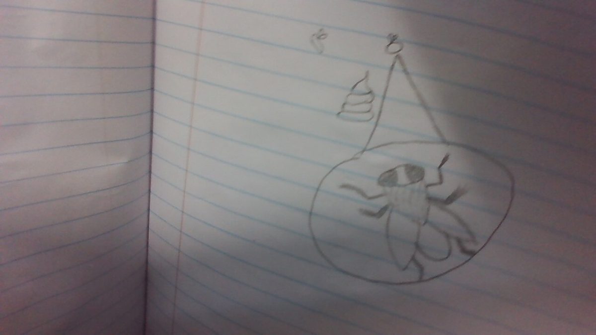 A Picture of a fly drawn in pencil