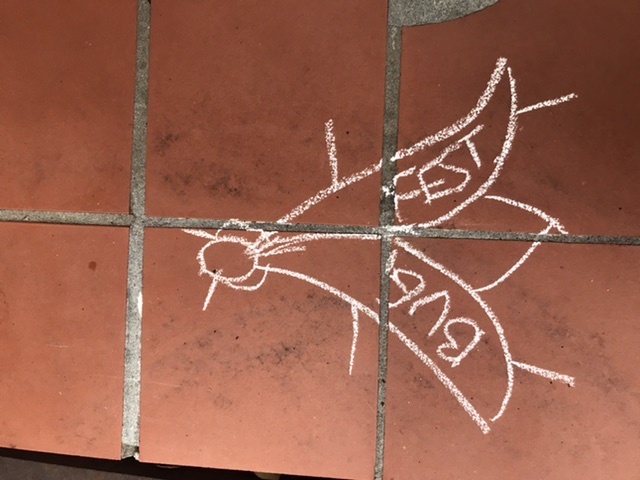 A small BugFest fly on ceramic tiles