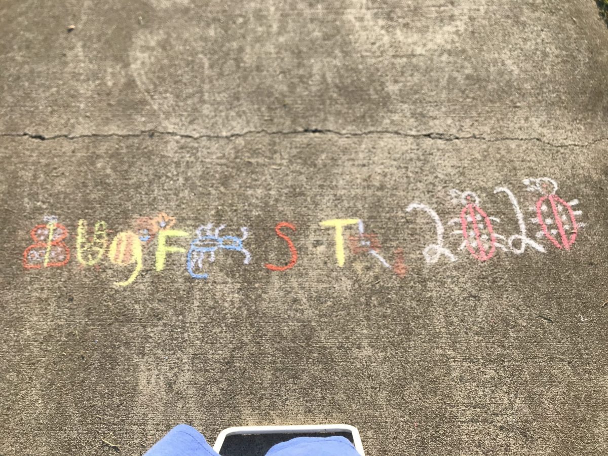 BugFest made out of bugs