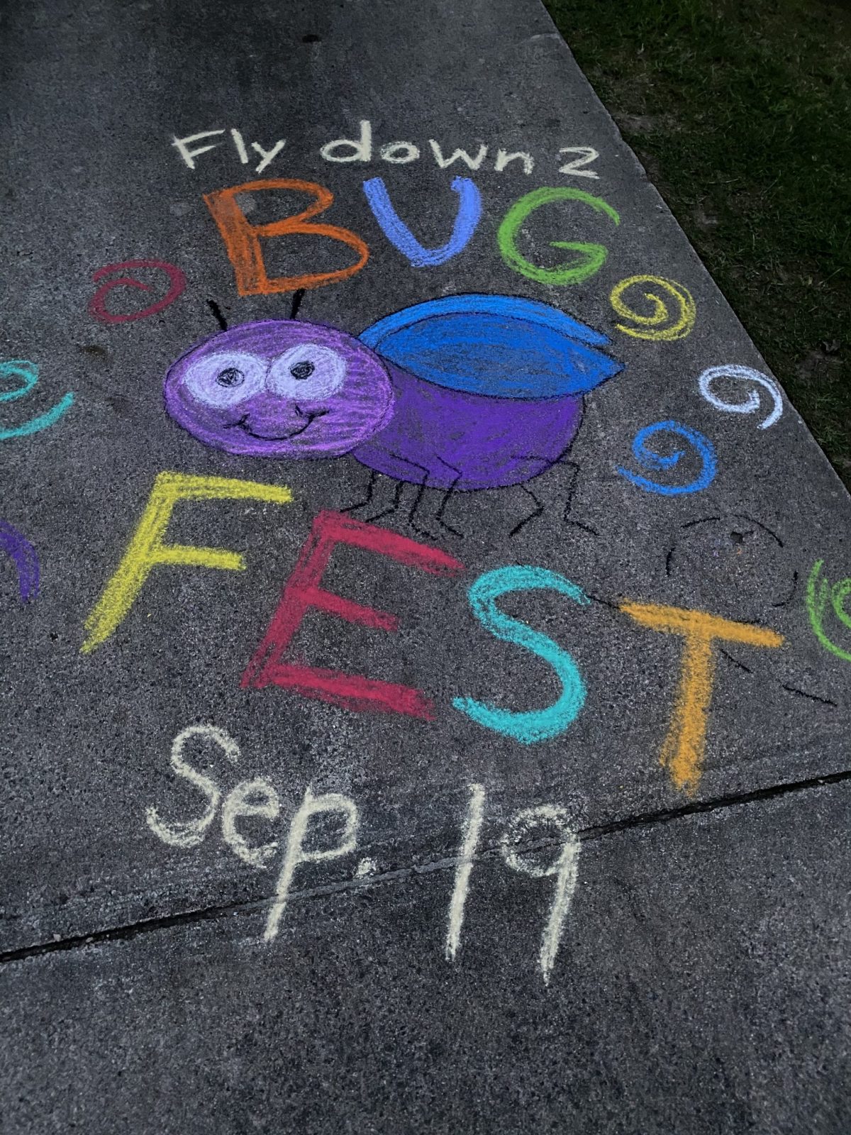 A colorful bug in chalk that says fly down to bugfest