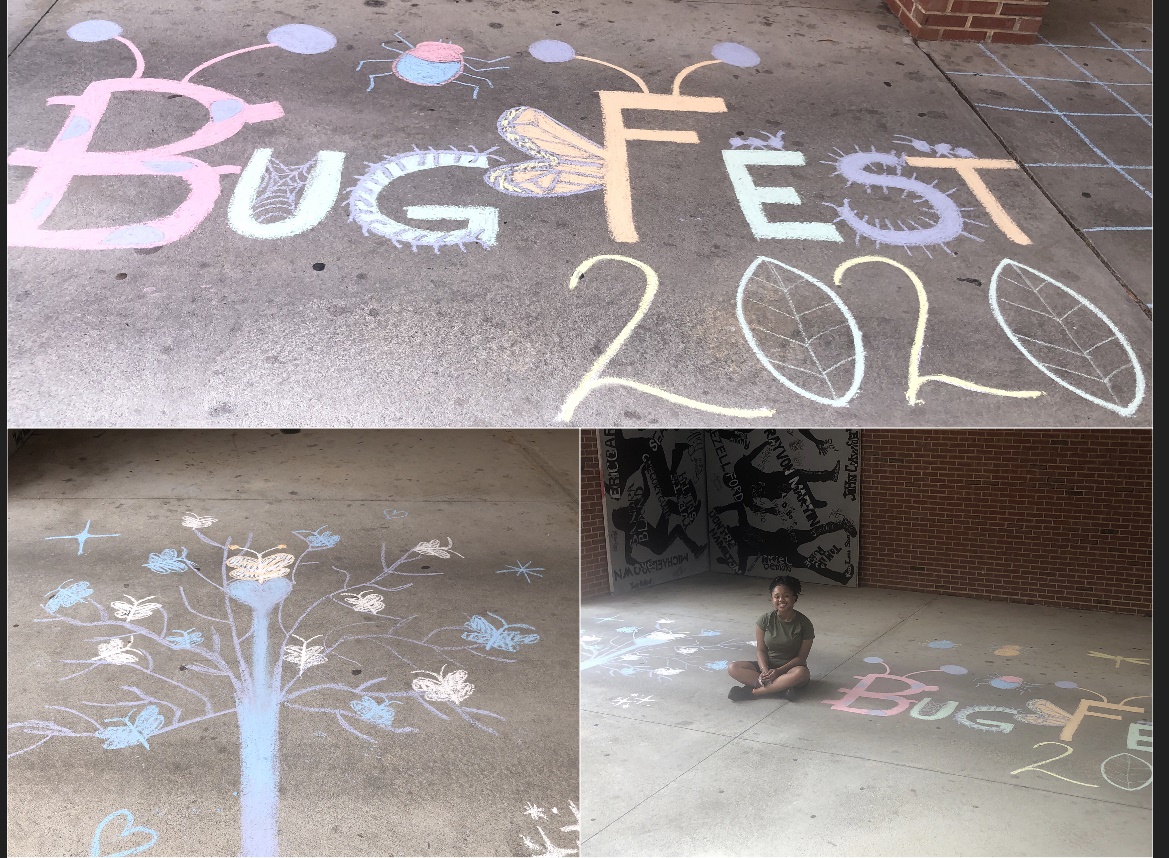 three bug drawings, a bugfest, a tree and a girl with both
