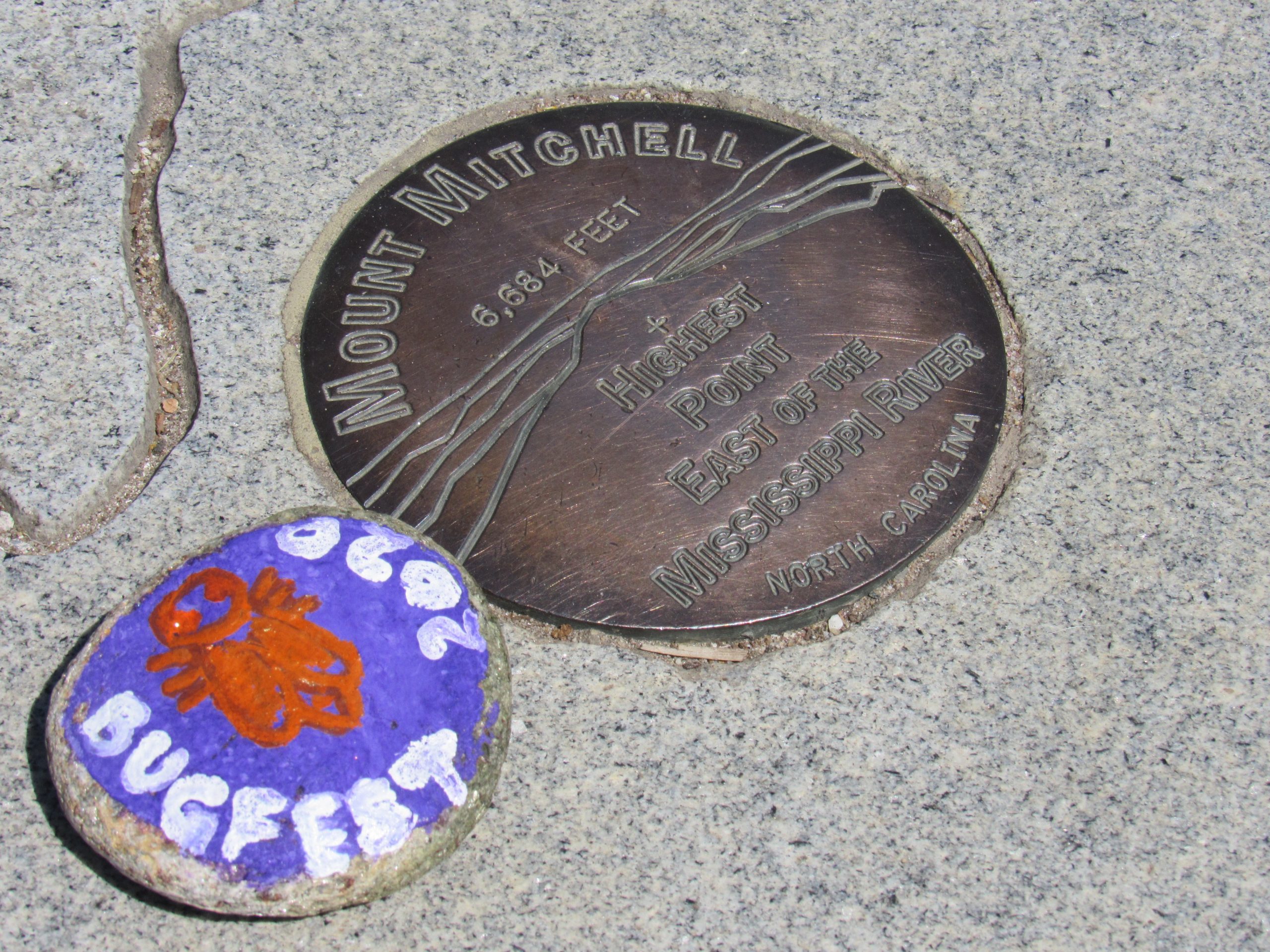 A stone painted with BugFest left on the top of Mt. Mitchell