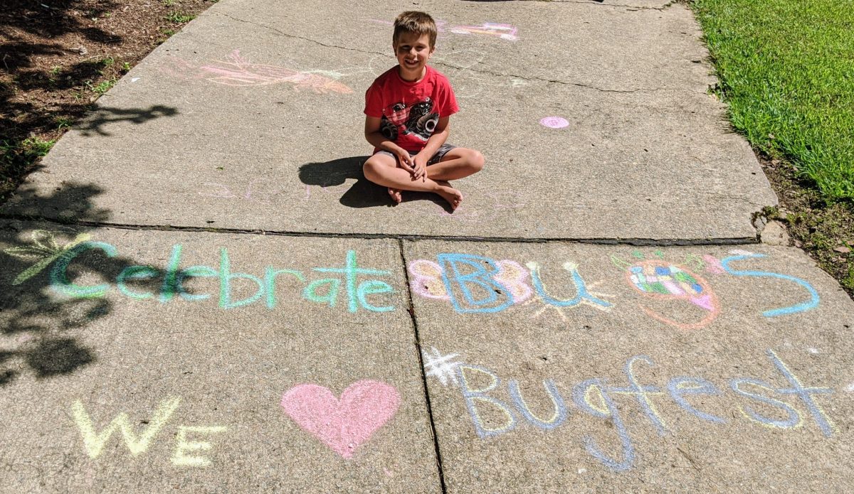 A little boy and chalk that says "celebrate bugs we love bugfest"