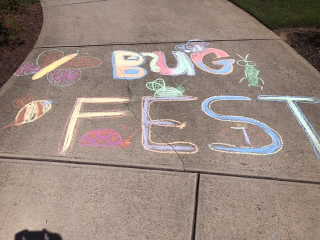 Colorful BugFest in Chalk