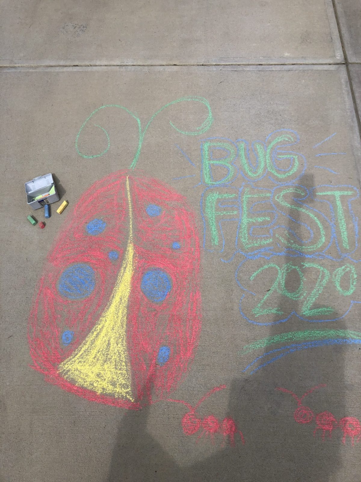 chalk ladybug and bugfest 2020
