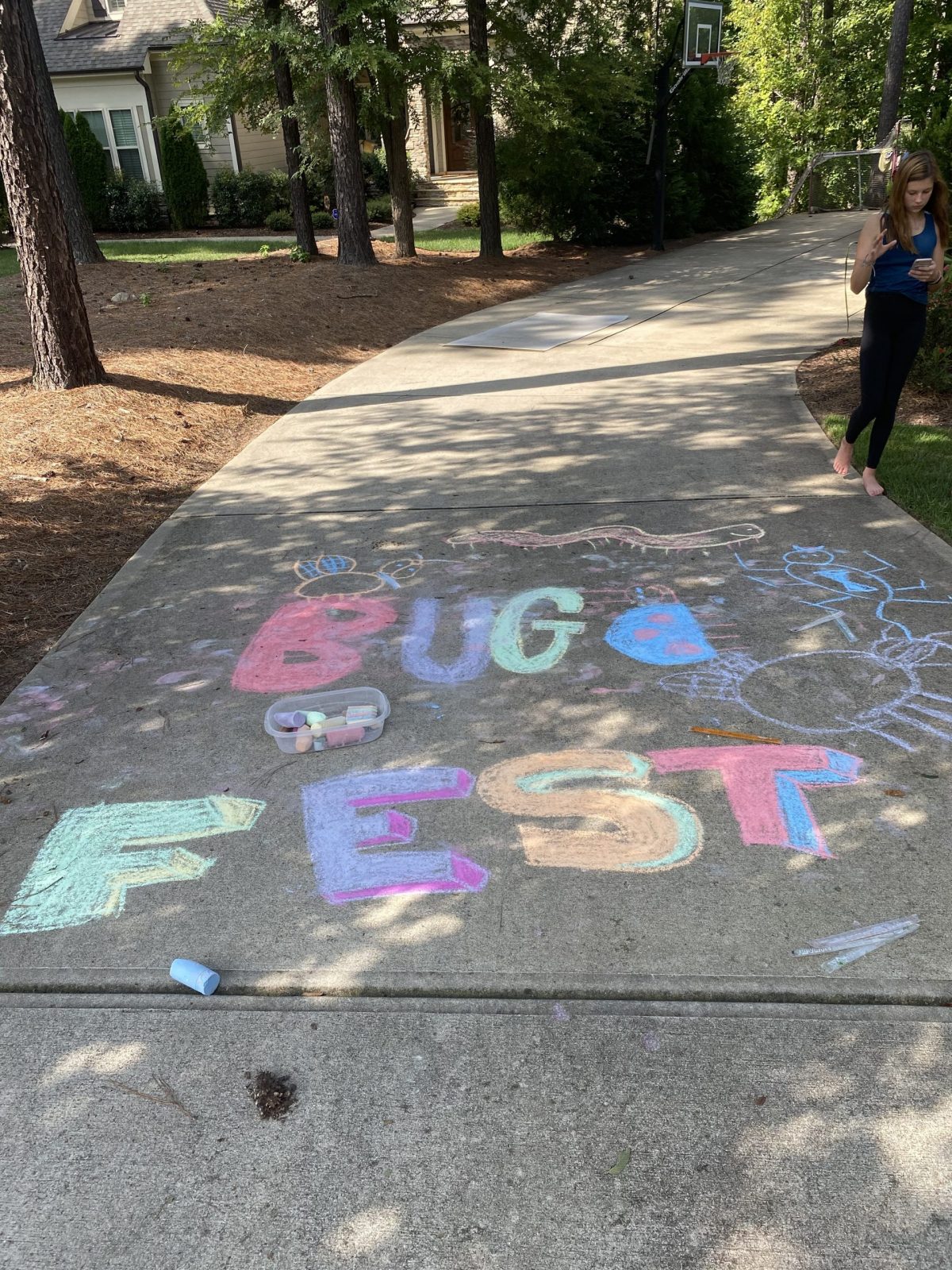 colorful chalk bugfest
