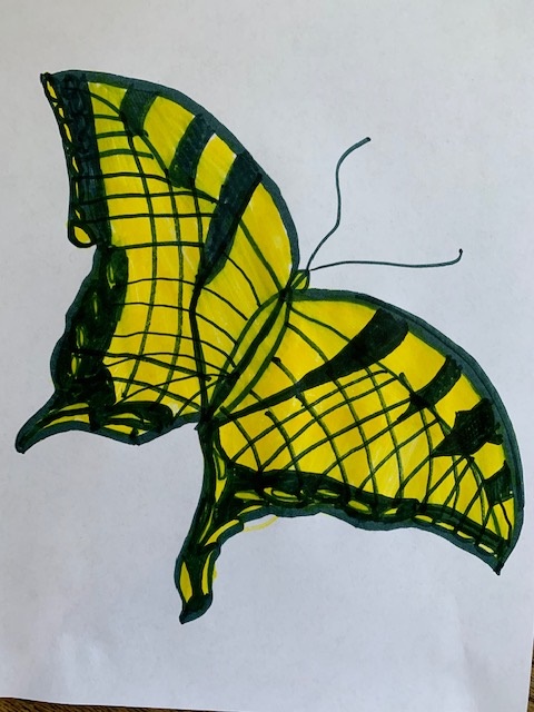 Drawing of a yellow butterfly