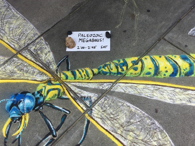 giant chalk dragonfly