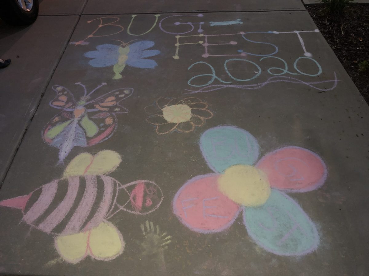 BugFest 2020 in chalk with bugs and flowers