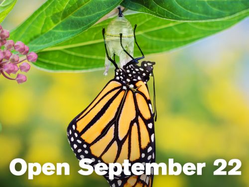 NC Museum of Natural Sciences Will Open to the Public Starting Sept. 22