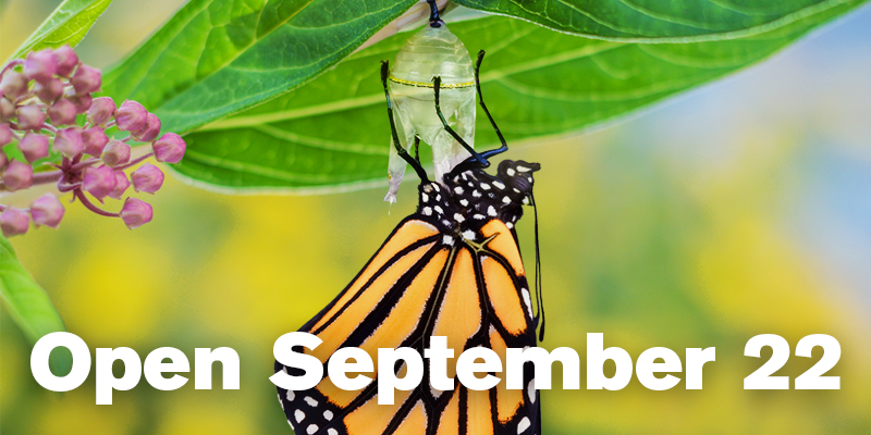 Open September 22