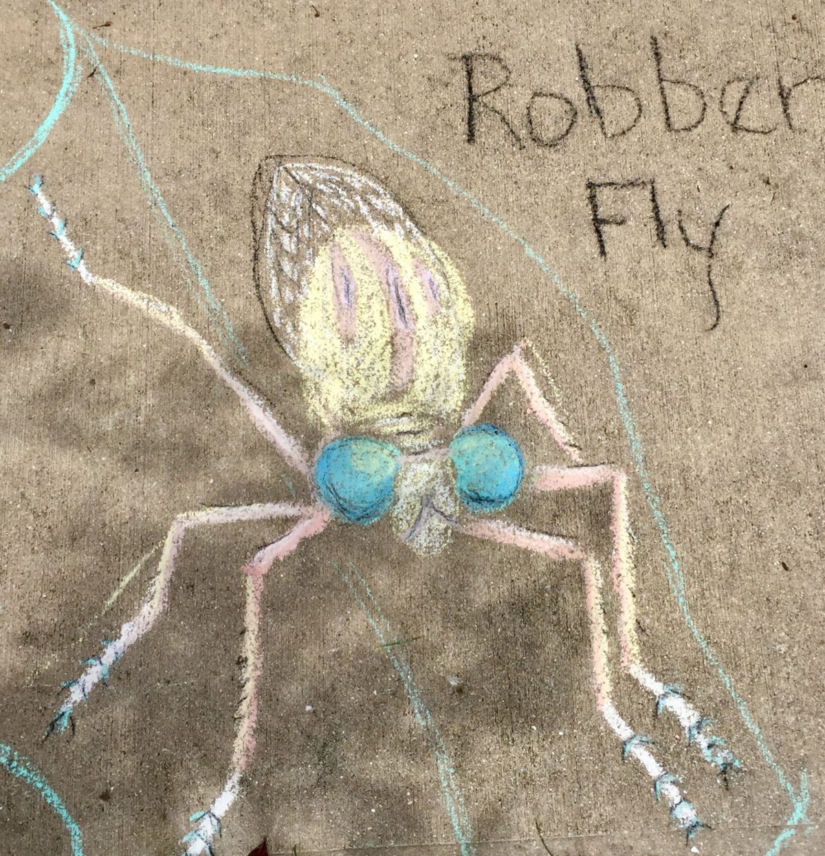Robber Fly out of chalk art