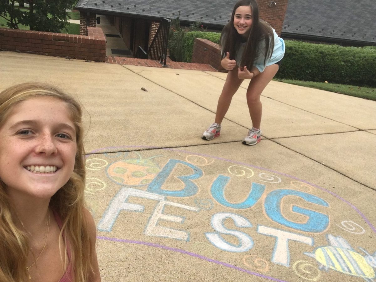 Two young girls and a chalk bugfest