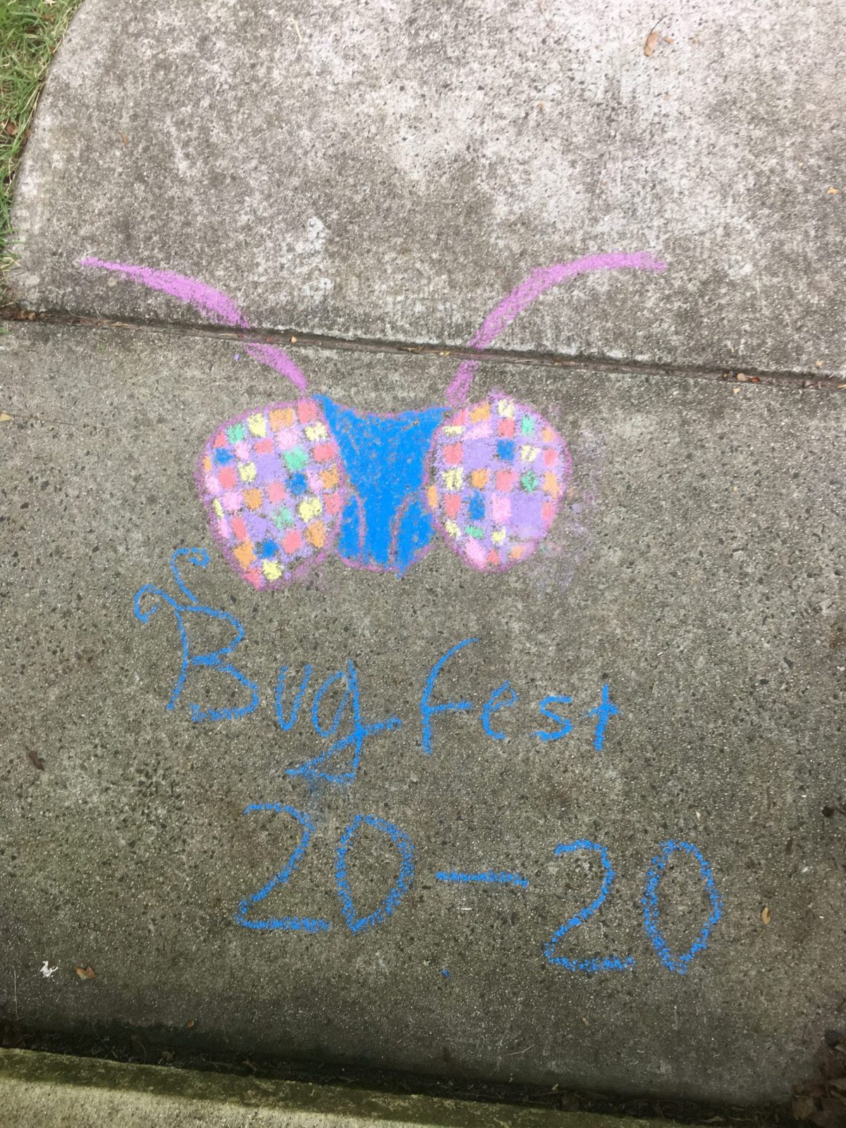 A fly face out of chalk