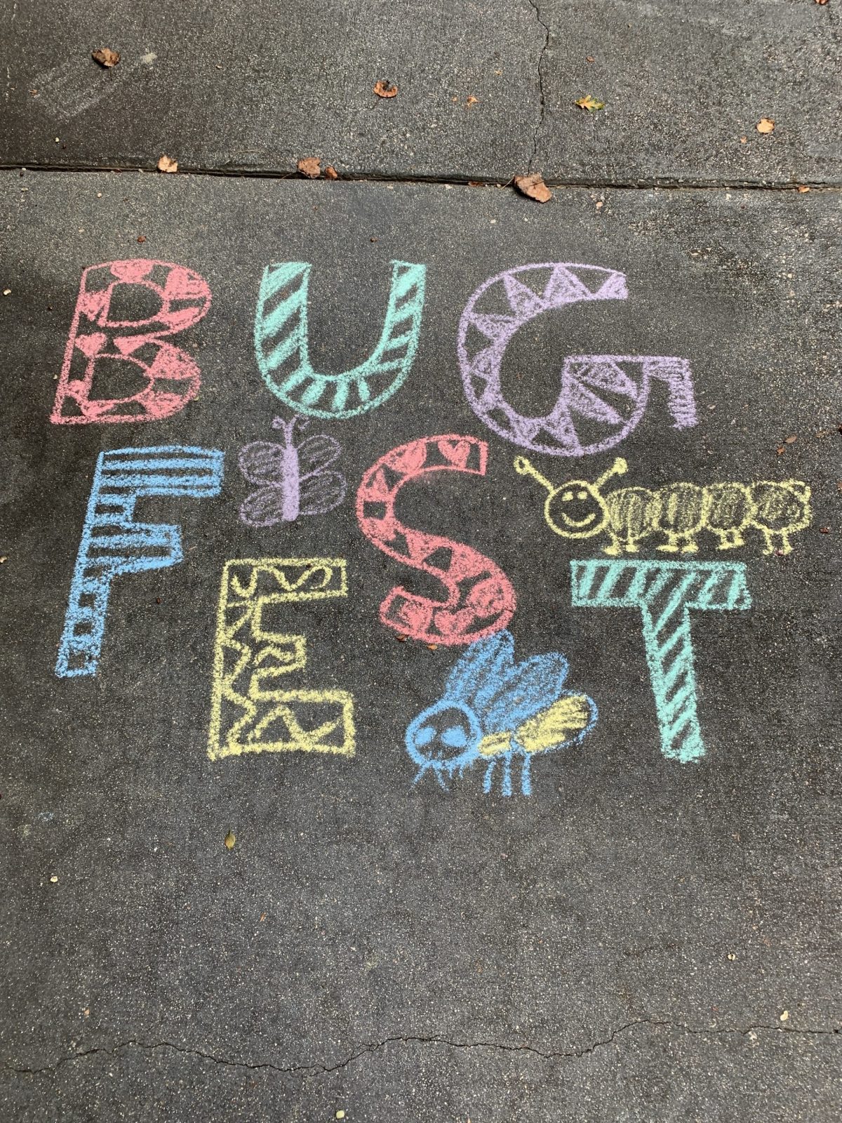 Fun chalk bugfest letters and a couple of bugs