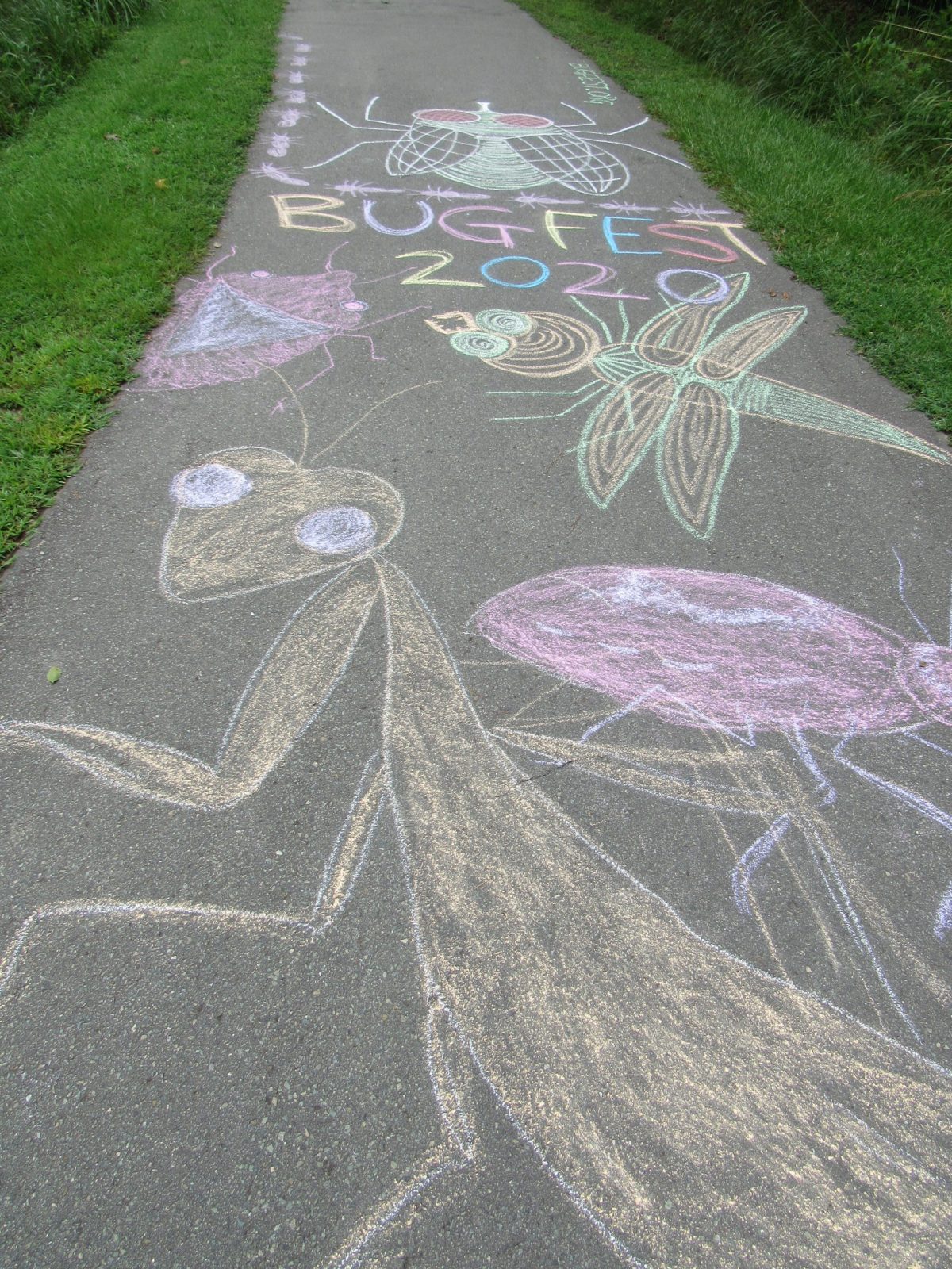 Praying mantis out of chalk
