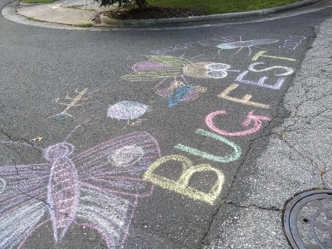 Bugfest out of chalk