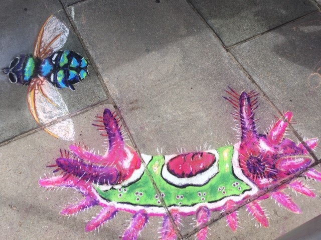 chalk purple caterpillar