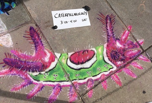 Caterpillar in chalk