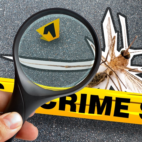 Crime scene tape, a bug outline and a magnifying glass